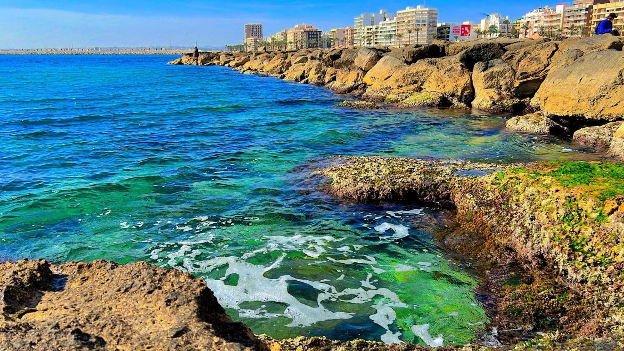 Sol Y Costa Torrevieja